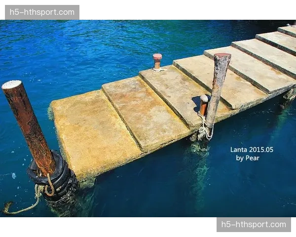 维达尔·莱利分歧判定胜马斯特纳克，次重量级排名上升